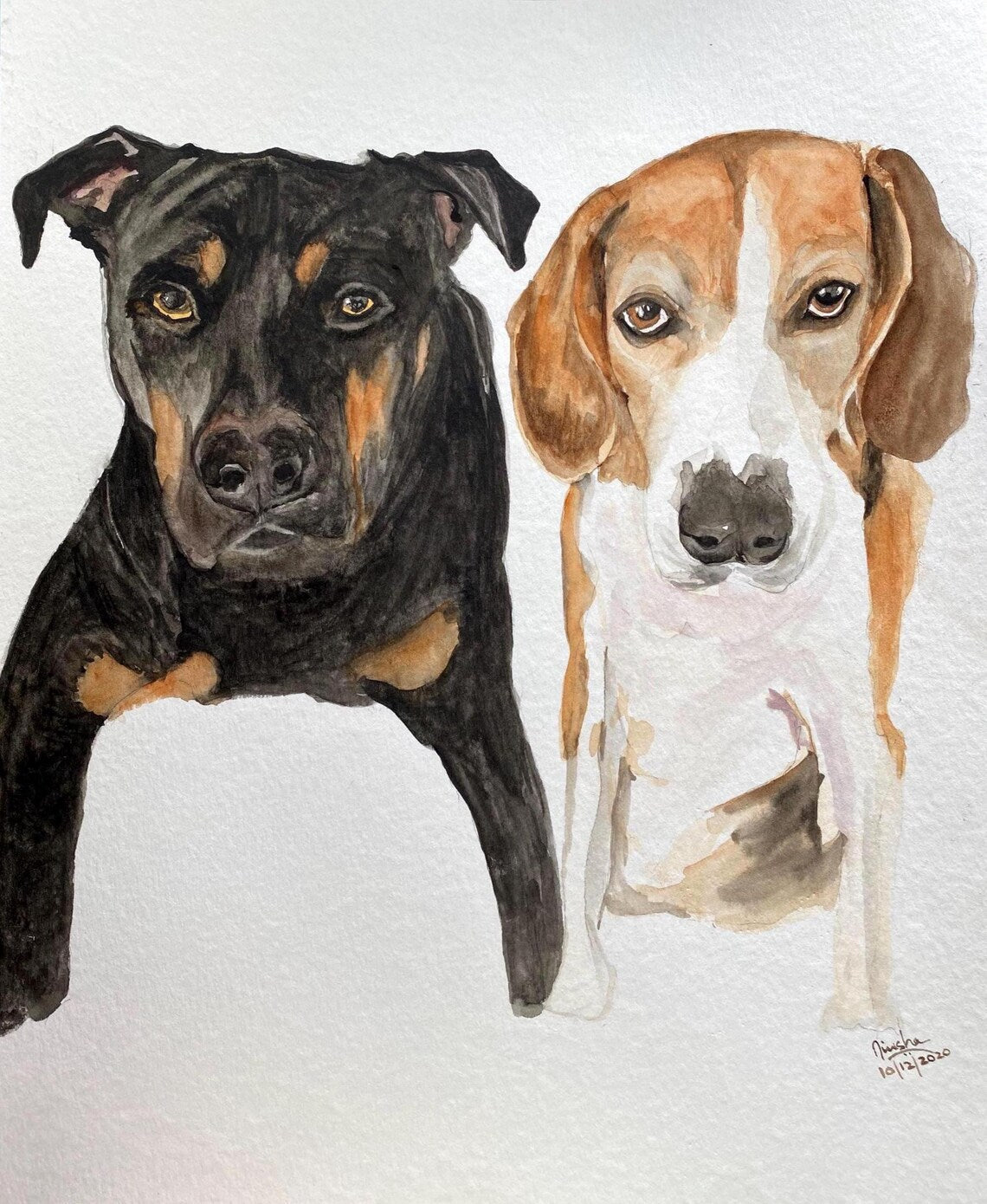 Hand painted watercolour dog portrait commissioned from a photograph, on white watercolour paper