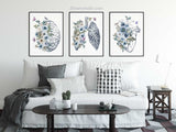 Anatomy wall art prints Set