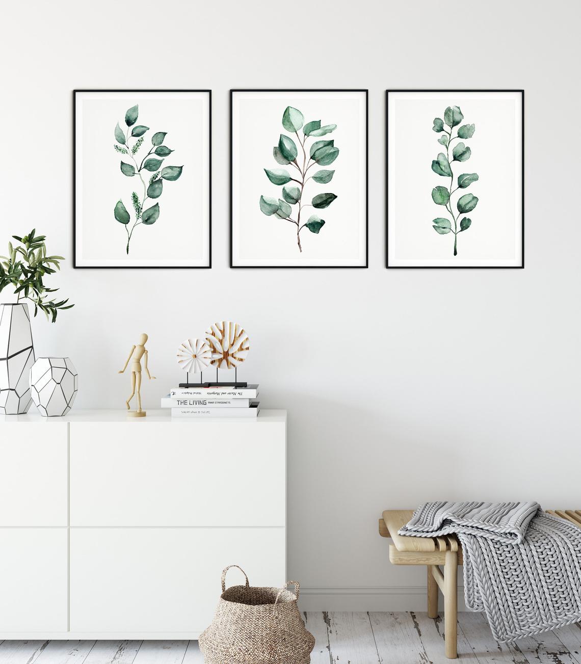 Eucalyptus set of 3 above a white sideboard Imagen principal del producto