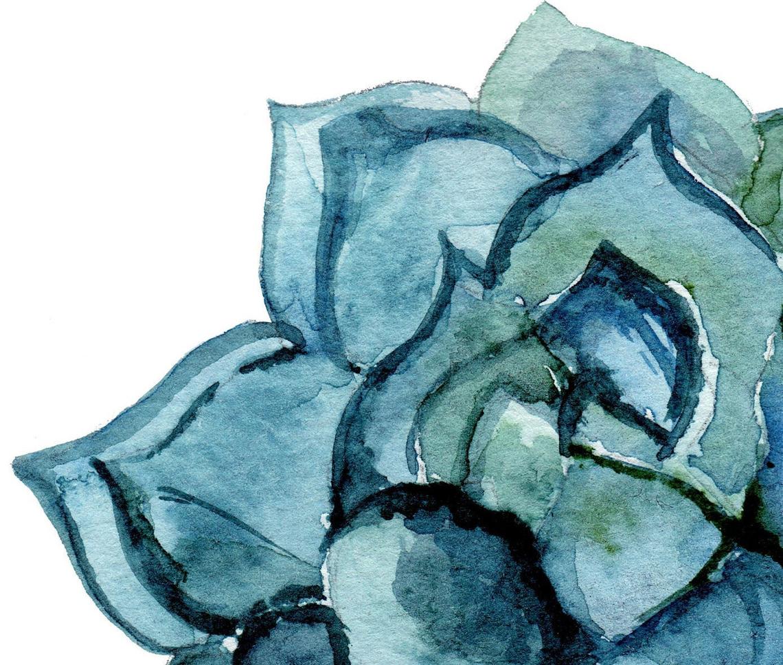 Arte de pared de flores suculentas, juego de 2 impresiones de arte de pared Imagen secundaria del producto
