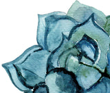Succulent Flower Wall Art, Set of 2 Printed Wall Arts