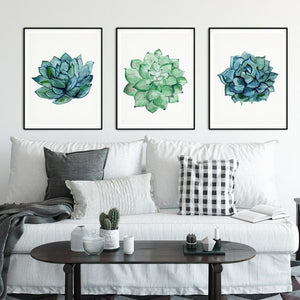 Three watercolour echeveria succulents in blue, green and teal above a white sofa